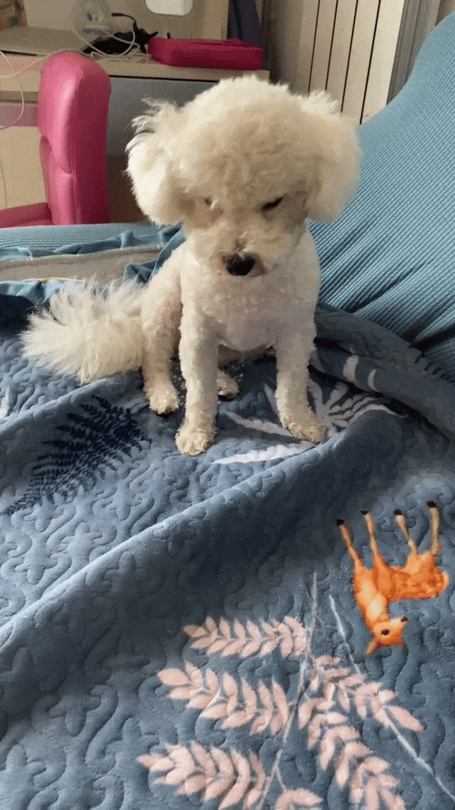 3分鐘一個大片！視頻版Midjourney上線iPhone，網友實測太絢了