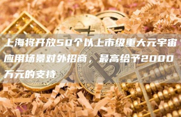 上海将开放50个以上市级重大元宇宙应用场景对外招商,最高给予2000万元的支持插图 上海将开放50个以上市级重大元宇宙应用场景对外招商,最高给予2000万元的支持