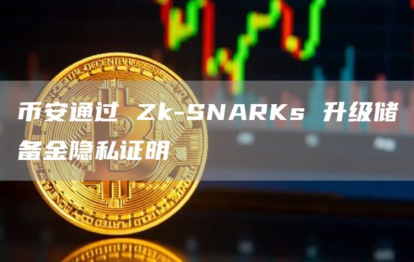 币安通过 Zk-SNARKs 升级储备金隐私证明插图 币安通过 Zk-SNARKs 升级储备金隐私证明