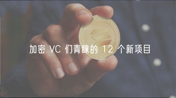 加密 VC 们青睐的 12 个新项目插图 加密 VC 们青睐的 12 个新项目
