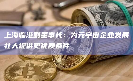 上海临港副董事长：为元宇宙企业发展壮大提供更优质条件