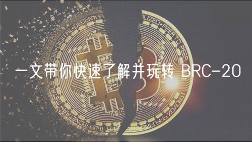 一文带你快速了解并玩转 BRC-20插图 一文带你快速了解并玩转 BRC-20