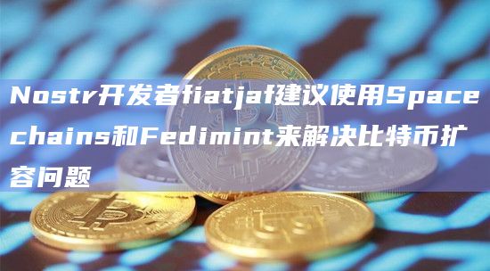 Nostr开发者fiatjaf建议使用Spacechains和Fedimint来解决比特币扩容问题
