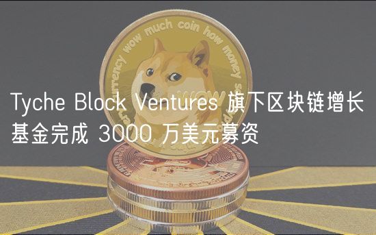 Tyche Block Ventures 旗下区块链增长基金完成 3000 万美元募资插图 Tyche Block Ventures 旗下区块链增长基金完成 3000 万美元募资