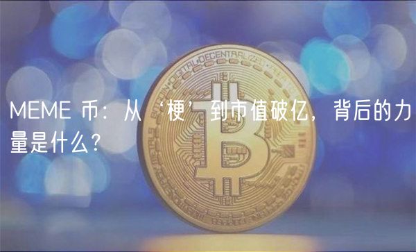 MEME 币:从‘梗’到市值破亿,背后的力量是什么?插图 MEME 币:从‘梗’到市值破亿,背后的力量是什么?