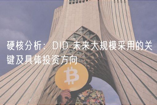 硬核分析:DID 未来大规模采用的关键及具体投资方向插图 硬核分析:DID 未来大规模采用的关键及具体投资方向