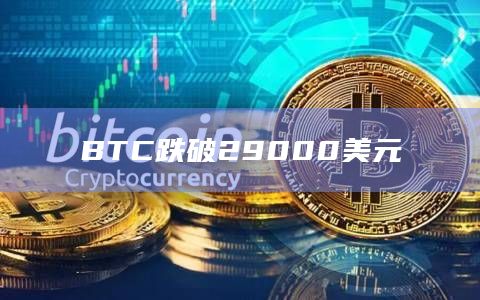BTC跌破29000美元