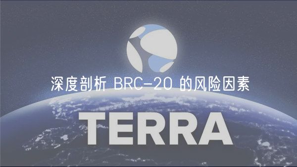 深度剖析 BRC-20 的风险因素插图 深度剖析 BRC-20 的风险因素