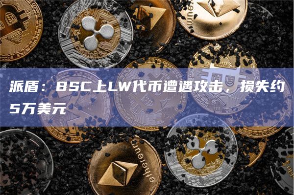 派盾：BSC上LW代币遭遇攻击，损失约5万美元
