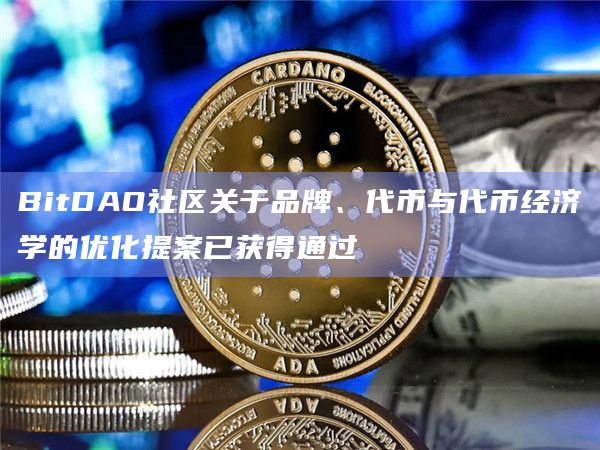 BitDAO社区关于品牌、代币与代币经济学的优化提案已获得通过插图 BitDAO社区关于品牌、代币与代币经济学的优化提案已获得通过