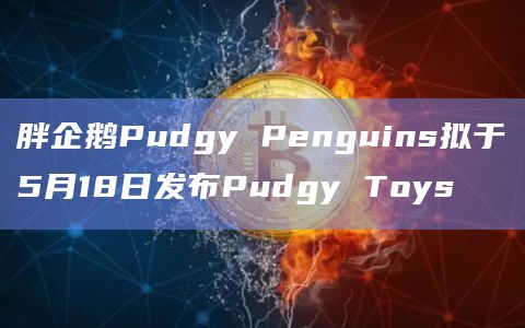 胖企鹅Pudgy Penguins拟于5月18日发布Pudgy Toys插图 胖企鹅Pudgy Penguins拟于5月18日发布Pudgy Toys