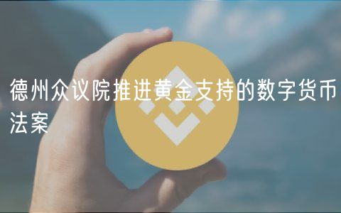 德州众议院推进黄金支持的数字货币法案插图 德州众议院推进黄金支持的数字货币法案