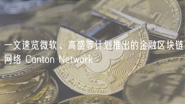 一文速览微软、高盛等计划推出的金融区块链网络 Canton Network插图 一文速览微软、高盛等计划推出的金融区块链网络 Canton Network