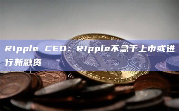 Ripple CEO：Ripple不急于上市或进行新融资