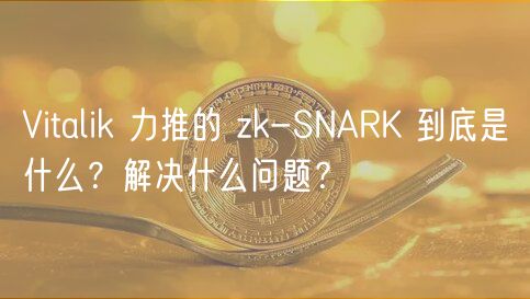 Vitalik 力推的 zk-SNARK 到底是什么?解决什么问题?插图 Vitalik 力推的 zk-SNARK 到底是什么?解决什么问题?