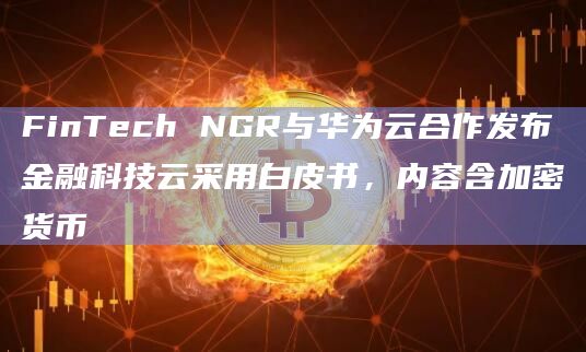 FinTech NGR与华为云合作发布金融科技云采用白皮书,内容含加密货币插图 FinTech NGR与华为云合作发布金融科技云采用白皮书,内容含加密货币