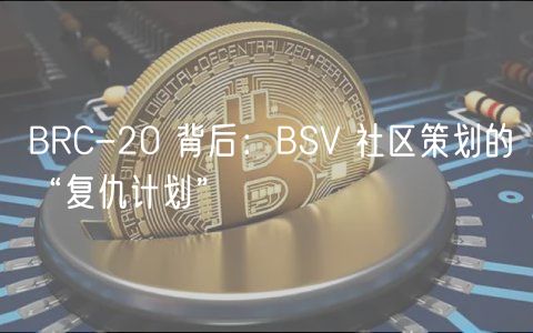 BRC-20 背后:BSV 社区策划的“复仇计划”插图 BRC-20 背后:BSV 社区策划的“复仇计划”