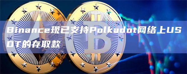 Binance现已支持Polkadot网络上USDT的存取款