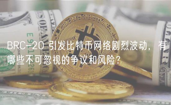 BRC-20 引发比特币网络剧烈波动,有哪些不可忽视的争议和风险?插图 BRC-20 引发比特币网络剧烈波动,有哪些不可忽视的争议和风险?