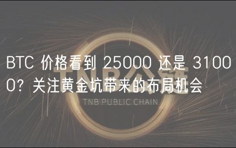 BTC 价格看到 25000 还是 31000?关注黄金坑带来的布局机会插图 BTC 价格看到 25000 还是 31000?关注黄金坑带来的布局机会