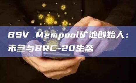 BSV Mempool矿池创始人：未参与BRC-20生态