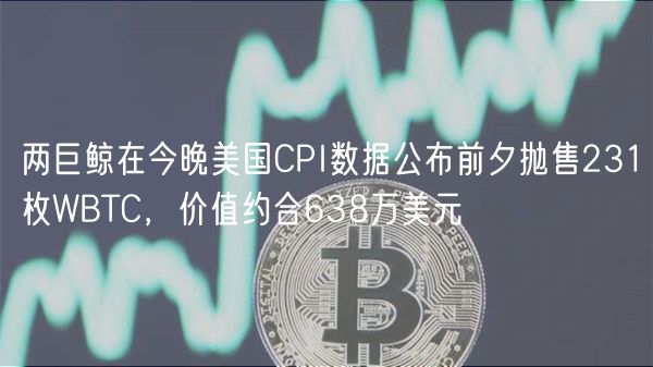 两巨鲸在今晚美国CPI数据公布前夕抛售231枚WBTC,价值约合638万美元插图 两巨鲸在今晚美国CPI数据公布前夕抛售231枚WBTC,价值约合638万美元