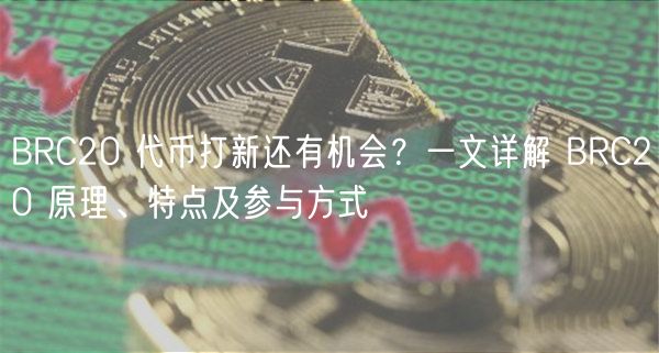 BRC20 代币打新还有机会？一文详解 BRC20 原理、特点及参与方式