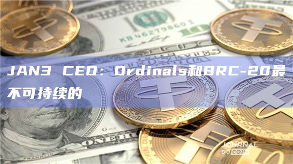 JAN3 CEO：Ordinals和BRC-20最不可持续的