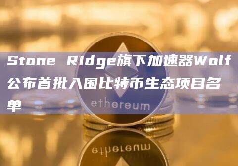 Stone Ridge旗下加速器Wolf公布首批入围比特币生态项目名单插图 Stone Ridge旗下加速器Wolf公布首批入围比特币生态项目名单