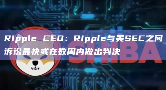 Ripple CEO:Ripple与美SEC之间诉讼最快或在数周内做出判决插图 Ripple CEO:Ripple与美SEC之间诉讼最快或在数周内做出判决