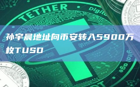 孙宇晨地址向币安转入5900万枚TUSD