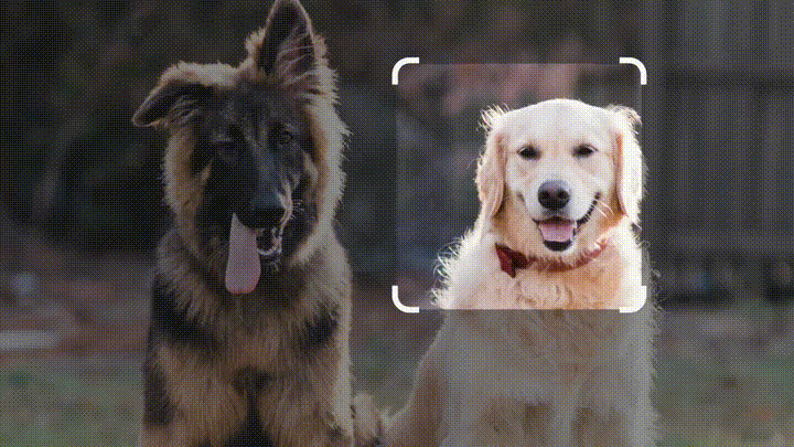 谷歌全面反击！PaLM 2模型挑战GPT-4，产品通通AI化