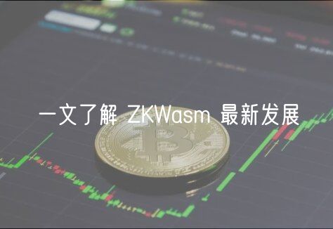 一文了解 ZKWasm 最新发展插图 一文了解 ZKWasm 最新发展