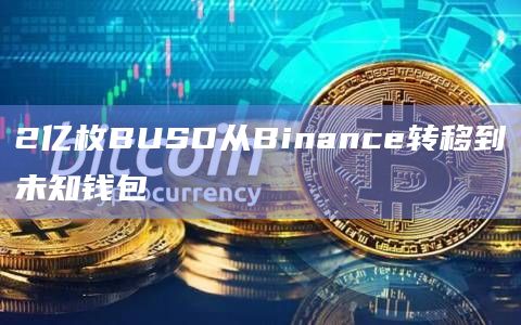 2亿枚BUSD从Binance转移到未知钱包