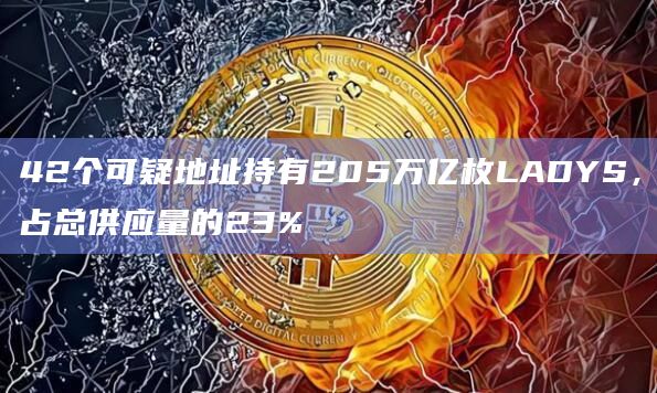 42个可疑地址持有205万亿枚LADYS，占总供应量的23%