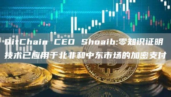 QitChain CEO Shoaib:零知识证明技术已应用于北非和中东市场的加密支付插图 QitChain CEO Shoaib:零知识证明技术已应用于北非和中东市场的加密支付