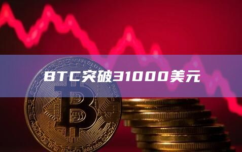 BTC突破31000美元