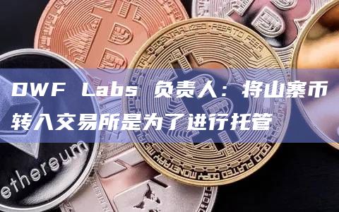 DWF Labs 负责人：将山寨币转入交易所是为了进行托管