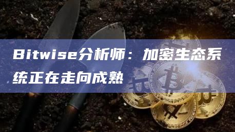 Bitwise分析师:加密生态系统正在走向成熟插图 Bitwise分析师:加密生态系统正在走向成熟