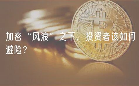 加密“风浪”之下,投资者该如何避险?插图 加密“风浪”之下,投资者该如何避险?