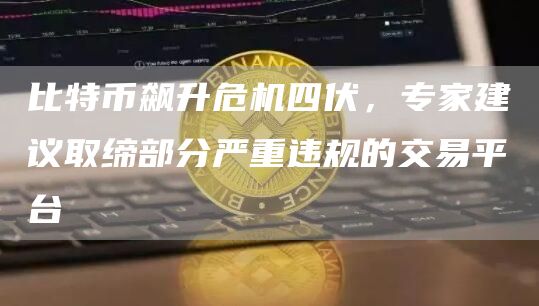 比特币飙升危机四伏,专家建议取缔部分严重违规的交易平台插图 比特币飙升危机四伏,专家建议取缔部分严重违规的交易平台