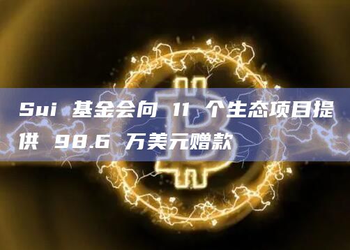 Sui 基金会向 11 个生态项目提供 98.6 万美元赠款插图 Sui 基金会向 11 个生态项目提供 98.6 万美元赠款