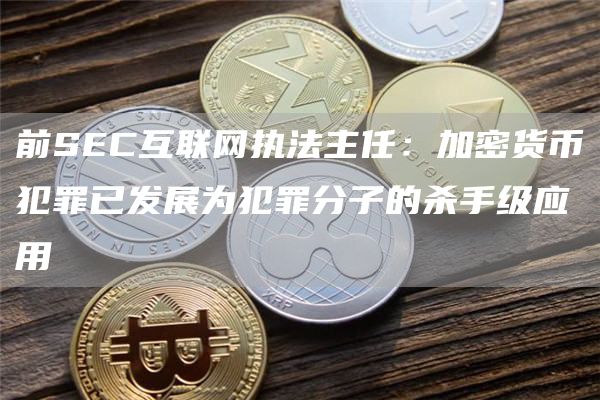 前SEC互联网执法主任:加密货币犯罪已发展为犯罪分子的杀手级应用插图 前SEC互联网执法主任:加密货币犯罪已发展为犯罪分子的杀手级应用