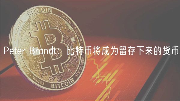 Peter Brandt：比特币将成为留存下来的货币