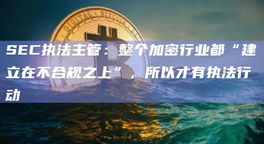 SEC执法主管:整个加密行业都“建立在不合规之上”,所以才有执法行动插图 SEC执法主管:整个加密行业都“建立在不合规之上”,所以才有执法行动