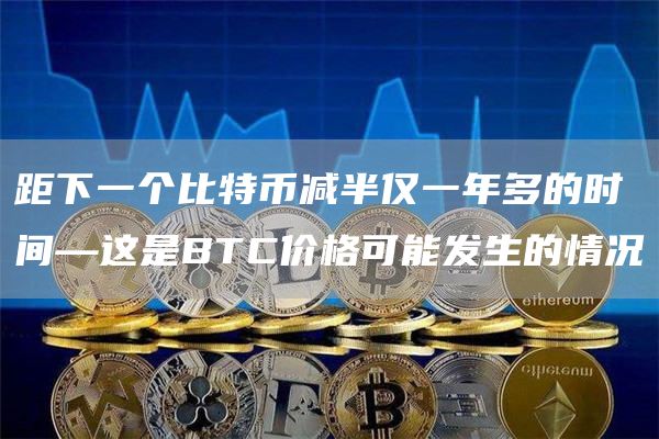 距下一个比特币减半仅一年多的时间—这是BTC价格可能发生的情况插图 距下一个比特币减半仅一年多的时间—这是BTC价格可能发生的情况