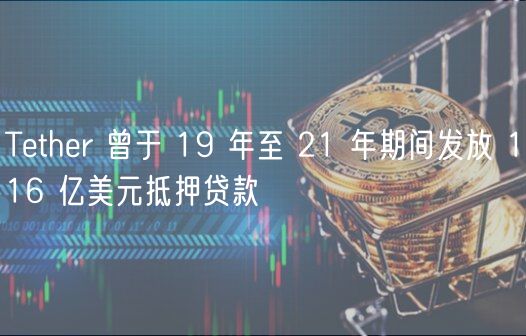 Tether 曾于 19 年至 21 年期间发放 116 亿美元抵押贷款插图 Tether 曾于 19 年至 21 年期间发放 116 亿美元抵押贷款