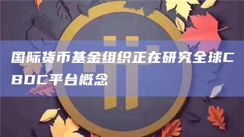国际货币基金组织正在研究全球CBDC平台概念
