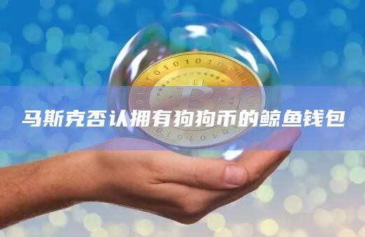 马斯克否认拥有狗狗币的鲸鱼钱包插图 马斯克否认拥有狗狗币的鲸鱼钱包