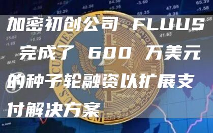 加密初创公司 FLUUS 完成了 600 万美元的种子轮融资以扩展支付解决方案插图 加密初创公司 FLUUS 完成了 600 万美元的种子轮融资以扩展支付解决方案